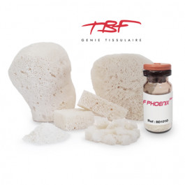Demineralized bone allograft F-PHOENIX® DBM